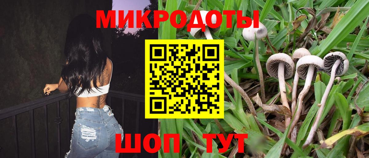 Галлюциногенные грибы Psilocybe  Вход с VPN  Псилоцибиновые грибы GOLDEN TEACHER  Крымск 