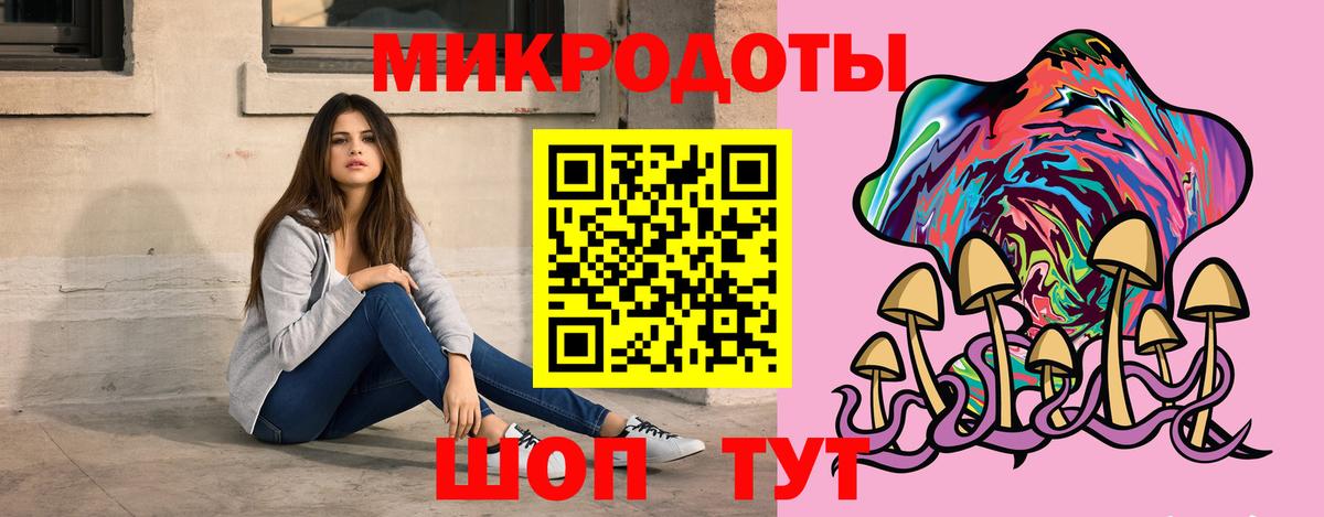 Псилоцибиновые грибы Cubensis Крымск